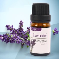 Lavender Essential Oil